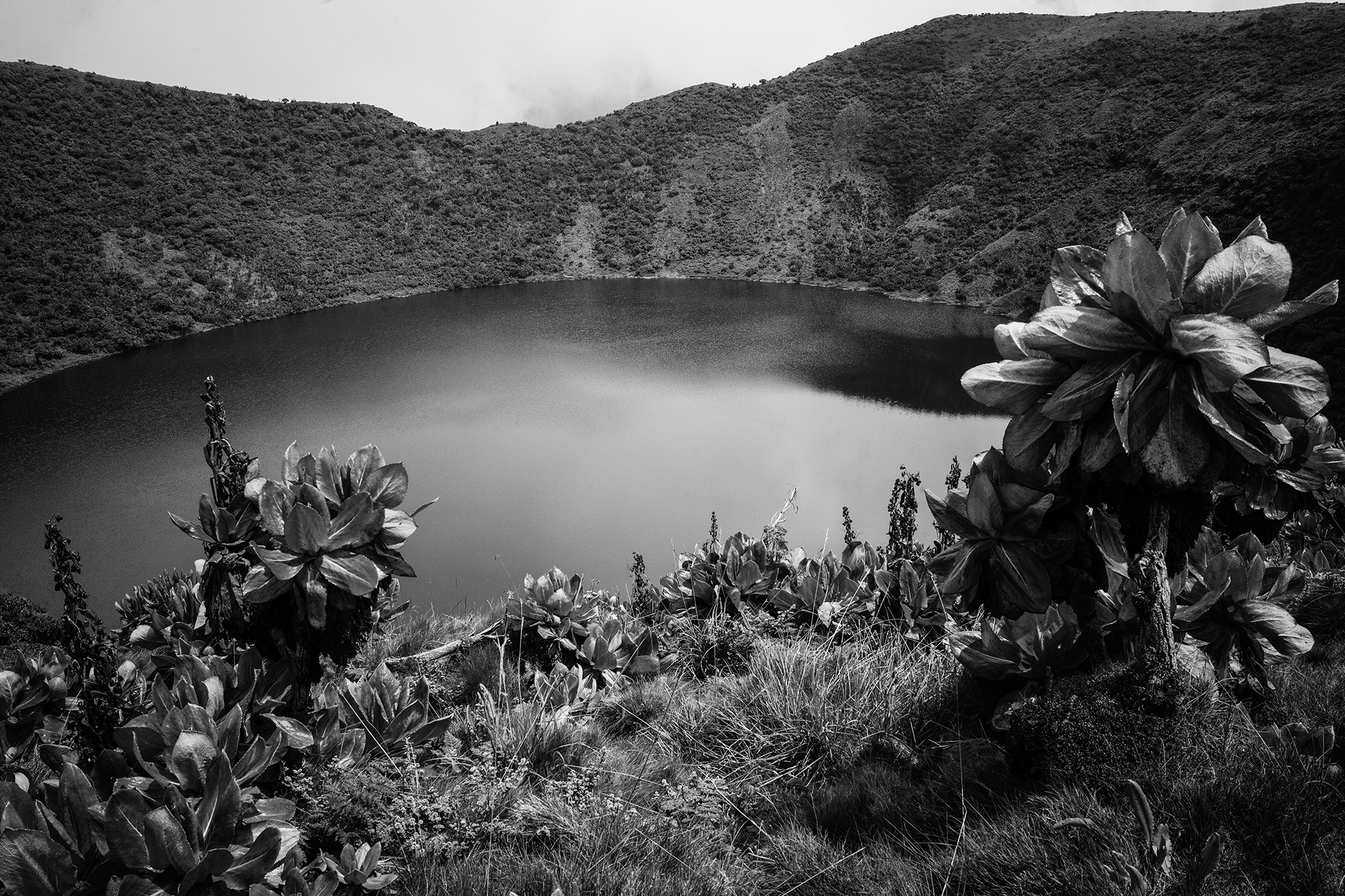 Thomas Mandl Vulcanoes National Park