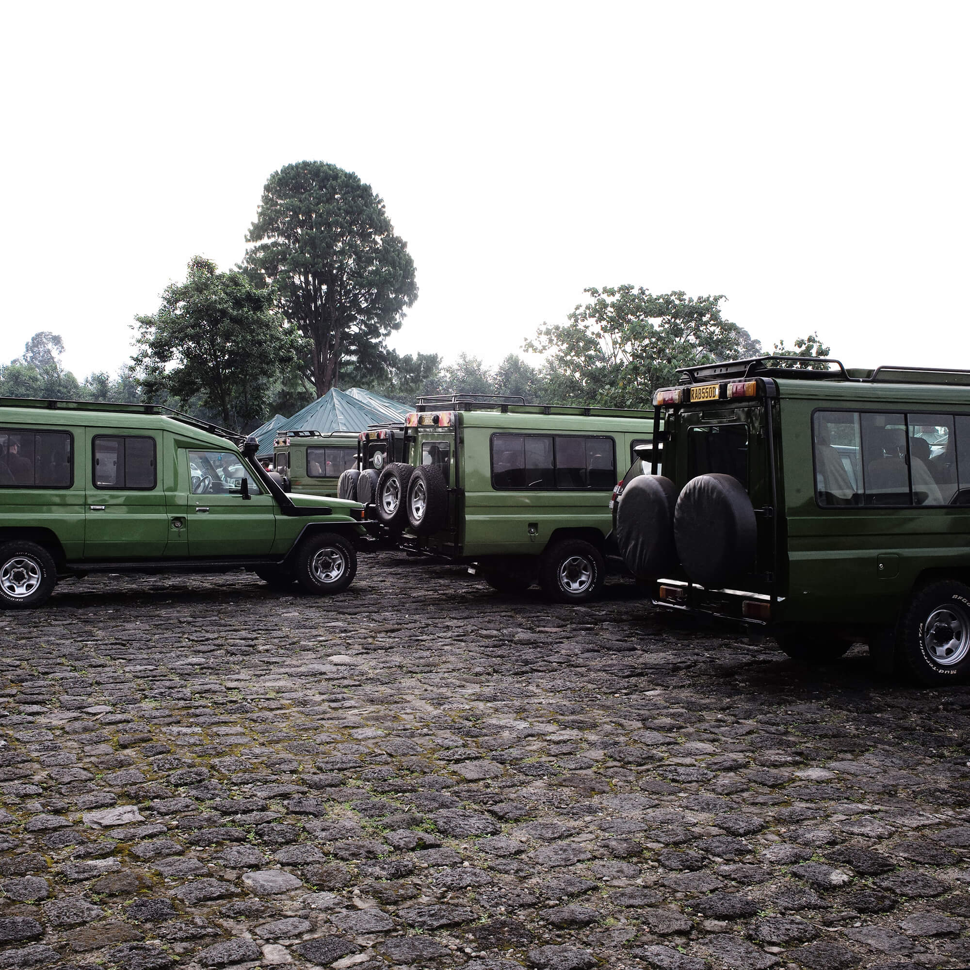 Thomas Mandl Vulcanoes National Park
